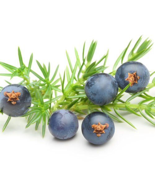 Organik Andız Özü Glütensiz Vegan1kg Malatya